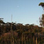 Cape Conran Coastal Park